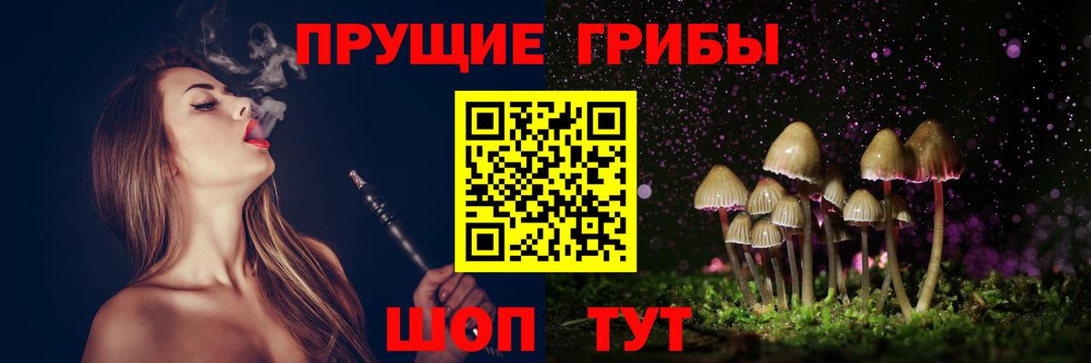 Михайловка  Галлюциногенные грибы Cubensis  Галлюциногенные грибы GOLDEN TEACHER  Вход с VPN 